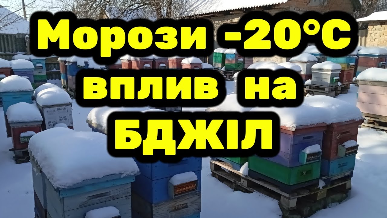 Виживуть лише сильні