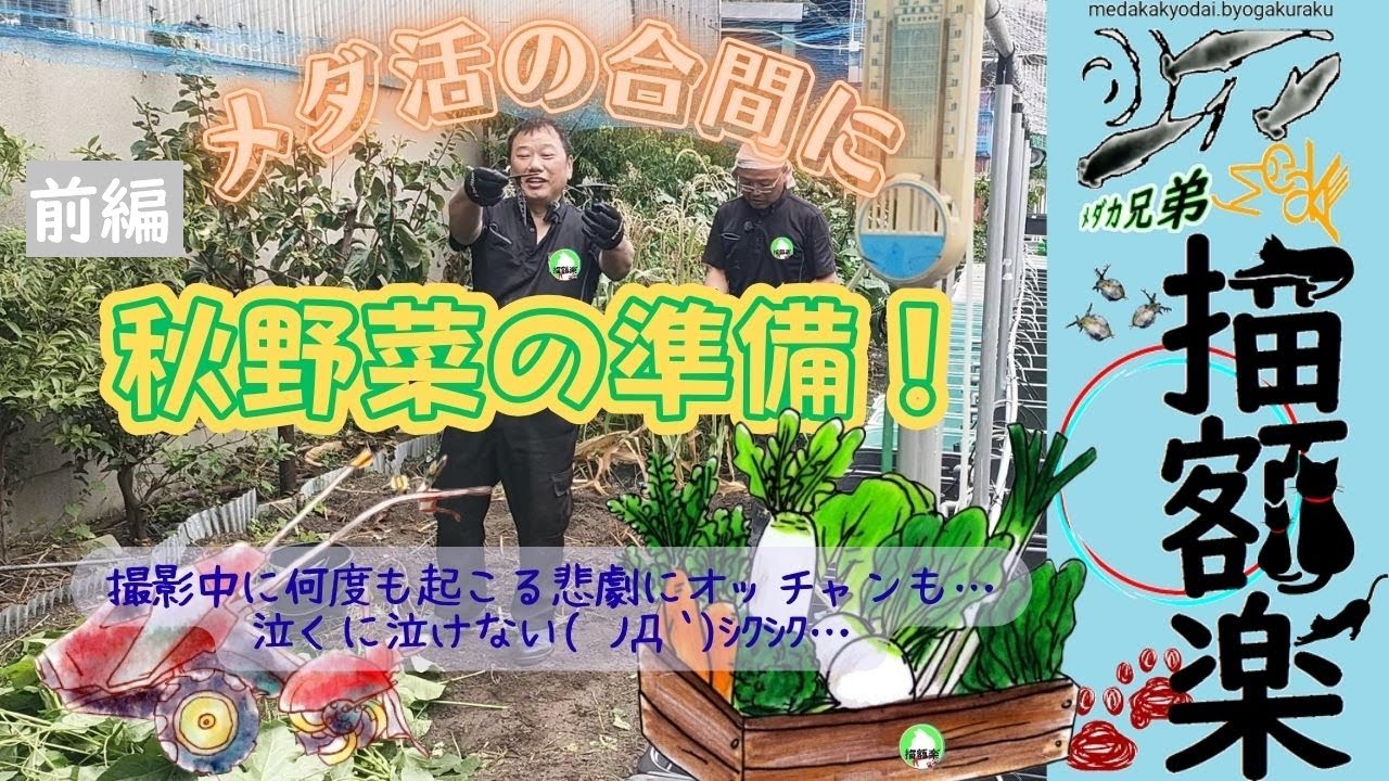 秋野の菜準備(前編)