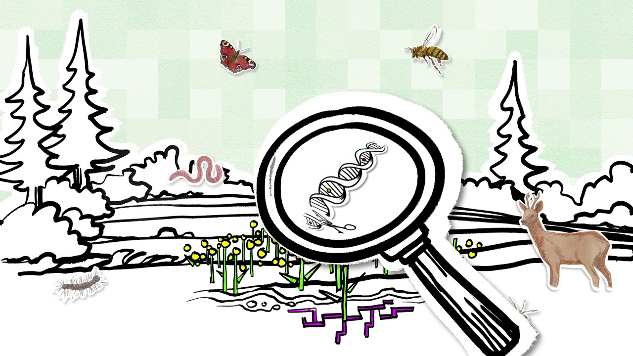 WAS IST GENTECHNIK? (3) Neue Gentechnik: Genome Editing, CRISPR etc.