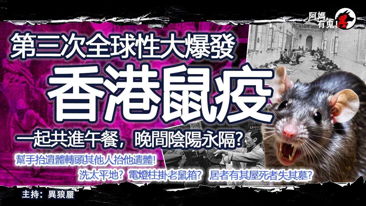 第三次全球性大爆發 香港鼠疫【恐怖過鬼EP027】一起共進午餐，晚間陰陽永隔?幫手抬遺體轉頭其他人抬他遺體!洗太平地? 電燈柱掛老鼠箱?居者有其屋死者失其墓?｜天災人禍獸殺｜不解之迷｜未知生物
