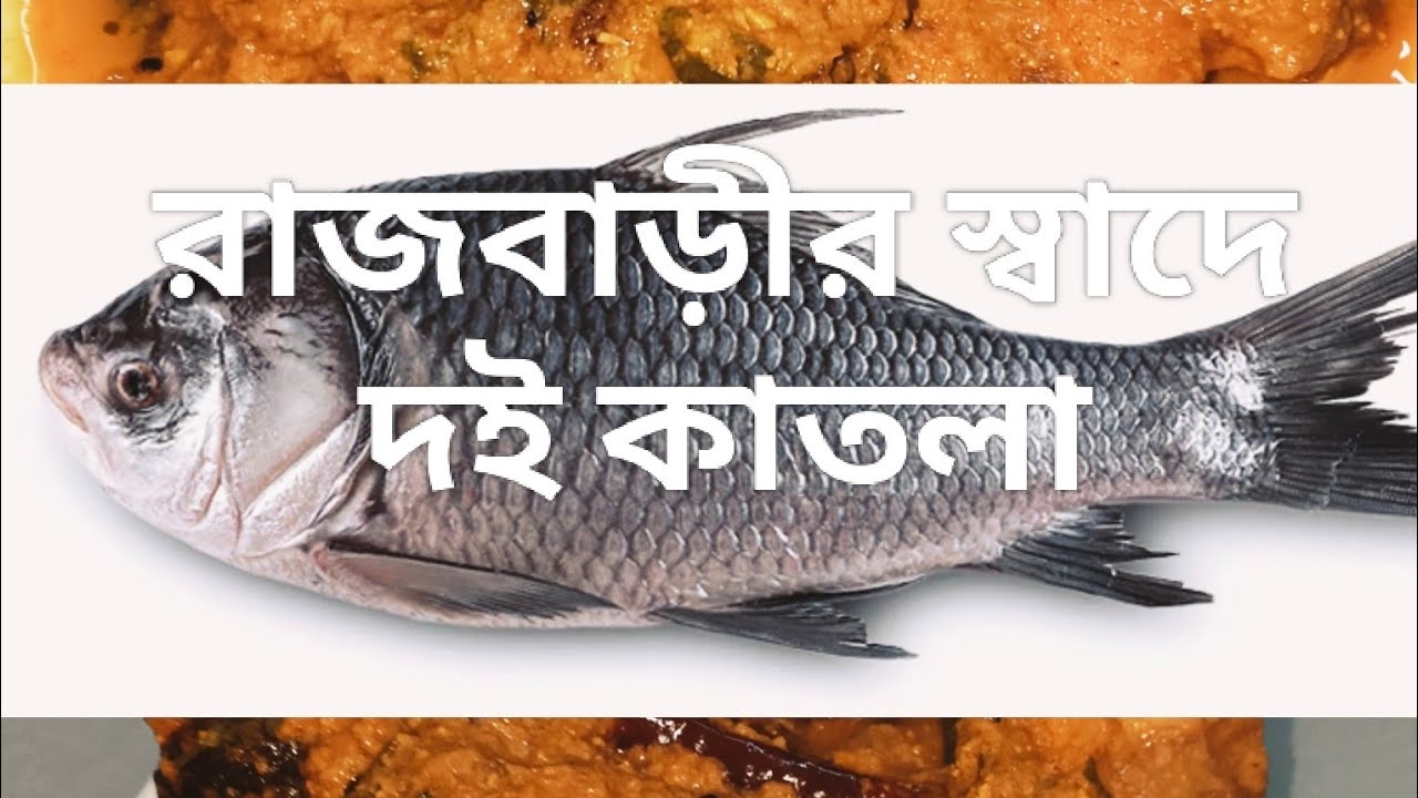 রাজবাড়ীর স্বাদে দই কাতলা। doi katla#food #cooking #viral #fishrecipe #indian food 