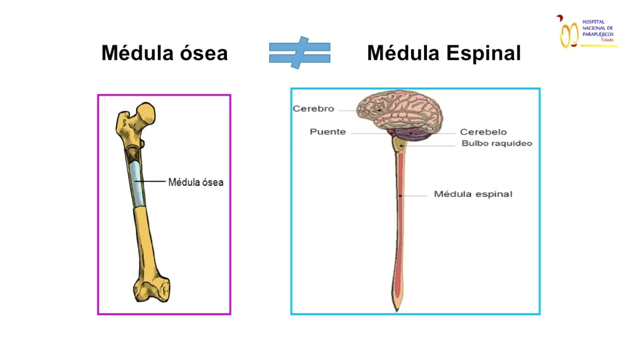 Generalidades 1 de 6