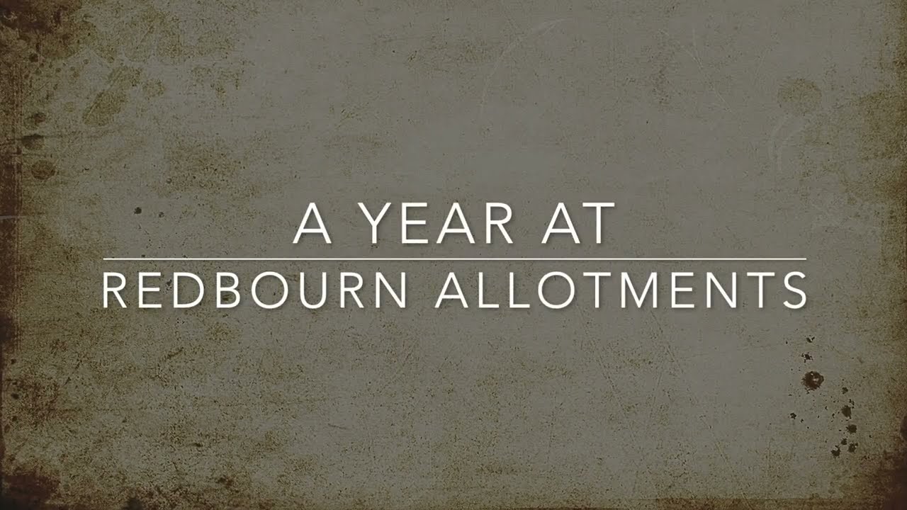 The Allotment 2022