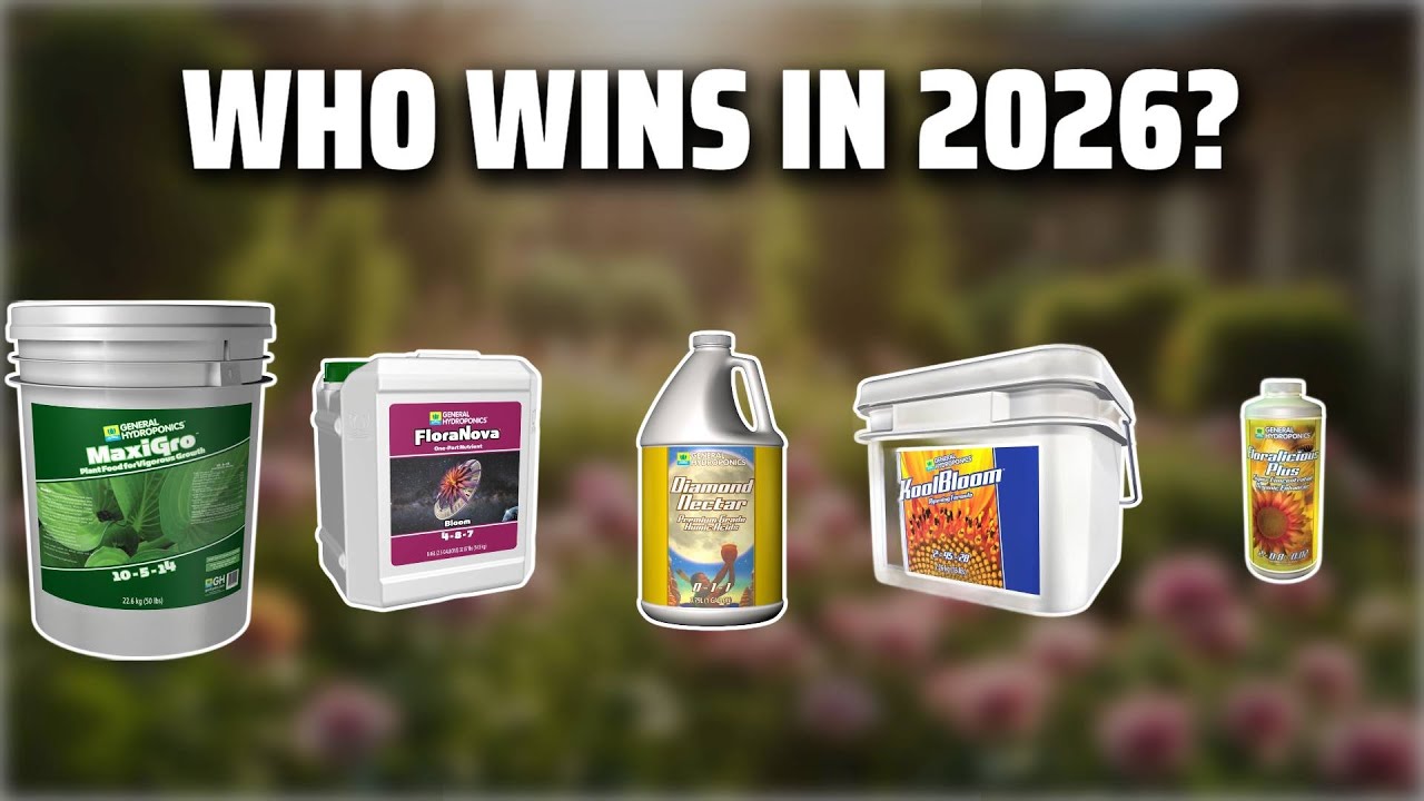 The Top 5 Best Floralicious Plus in 2026 - Must Watch Before Buying!