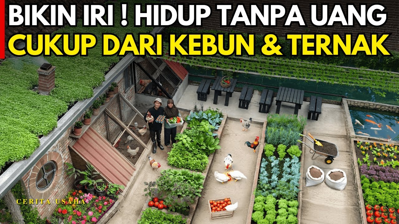 BIKIN IRI ! PASUTRI HIDUP TANPA UANG DARI KEBUN DAN TERNAK HALAMAN RUMAH | CERITA USAHA YOSO FARM