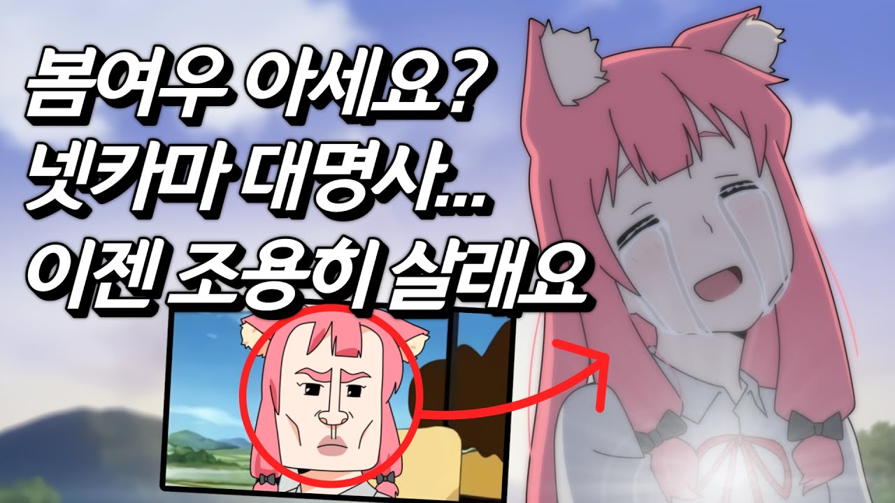 [봄여우를 만나다] 비록 가장 유명한 넷카마지만서도 이제는 조용히 살고싶어요... '봄여우'근황