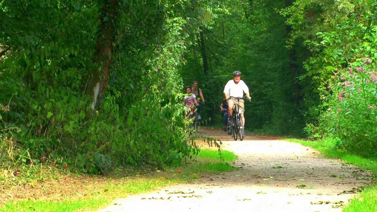 Rur-Ufer-Radweg - indeland