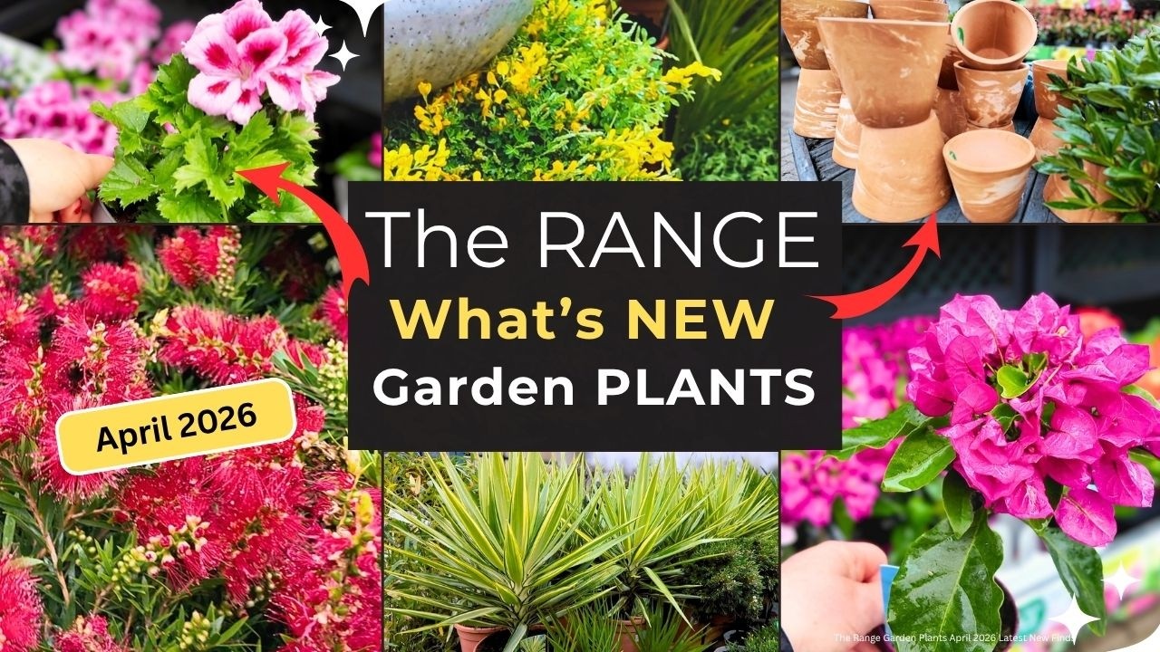 The Range What's New In April 2026 Garden Plants? | Big UK Garden Centre Shop & Plant Bargains!