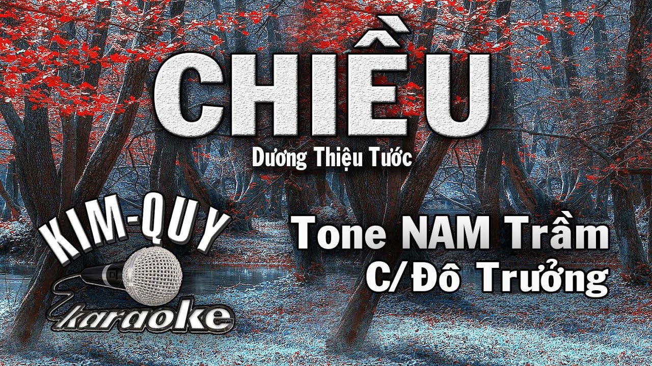 CHIỀU - KARAOKE ( Tango ) - Tone NAM Trầm ( C/Đ&ocirc; Trưởng)