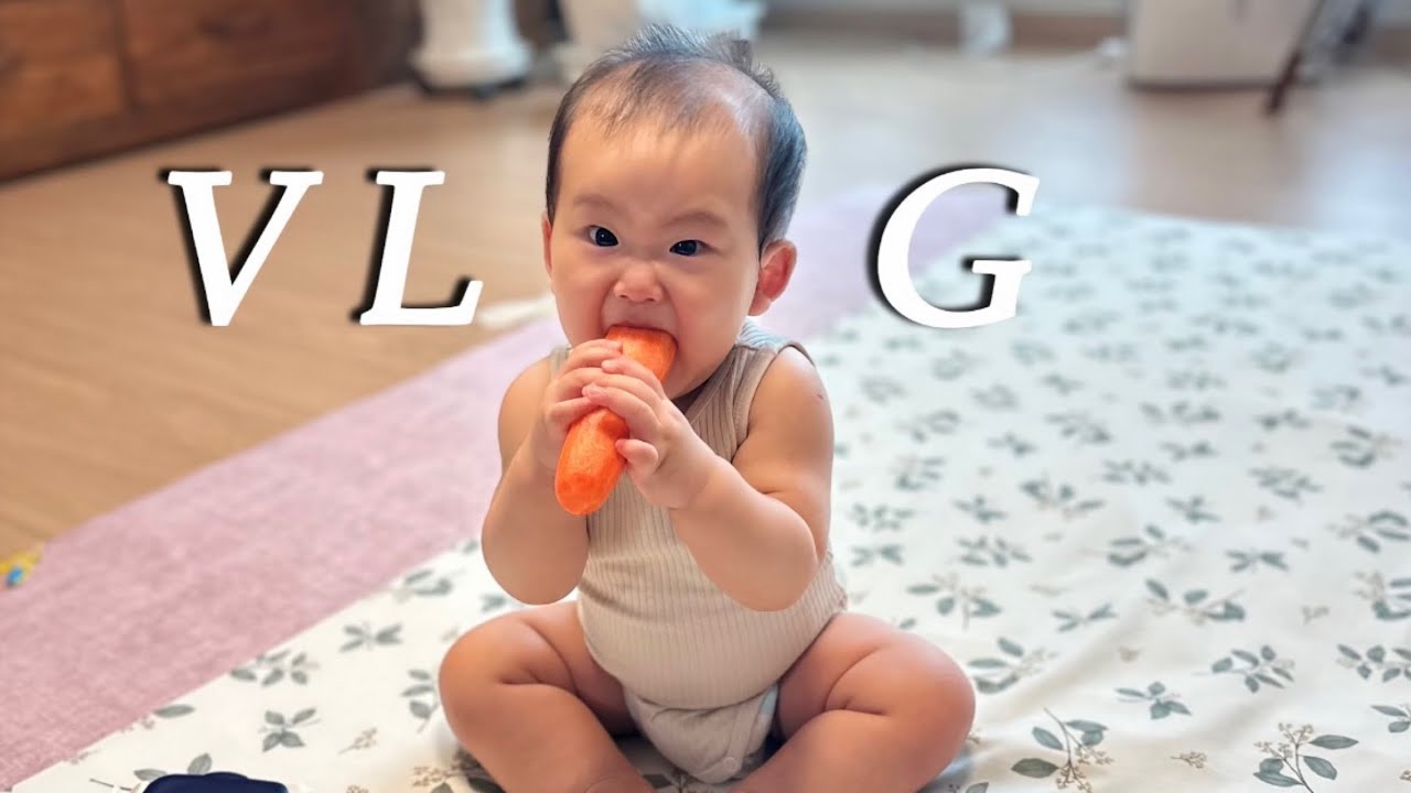 VLOGㅣ하루하루가 바쁜 아기새