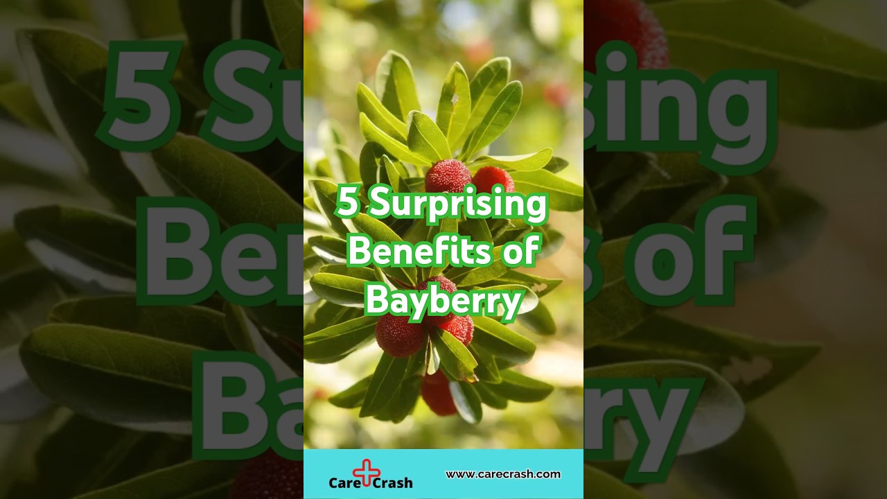5 Surprising Benefits of Bayberry | 