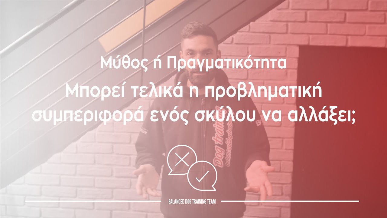 Μπορεί η προβληματική συμπεριφορά ενός σκύλου να αλλάξει; | Μύθος ή Πραγματικότητα