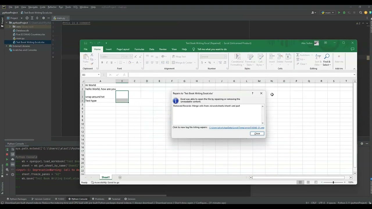 Python Excel Automation Part 5  - Sheets Part 2