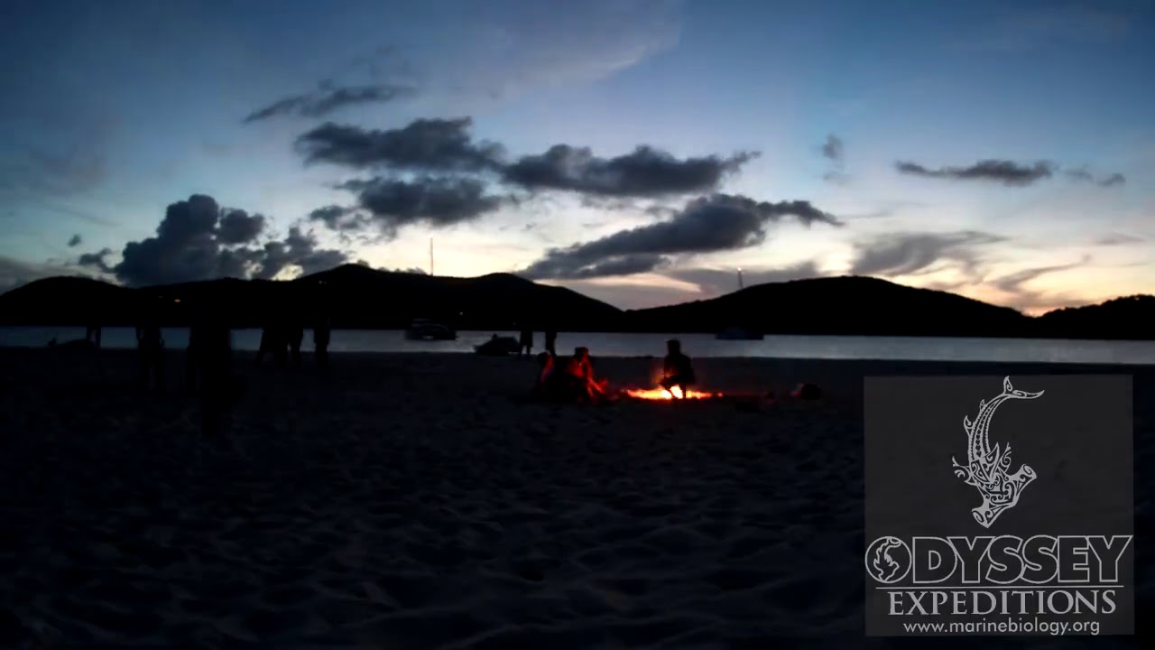 Beach Campfire with Odyssey Expeditions