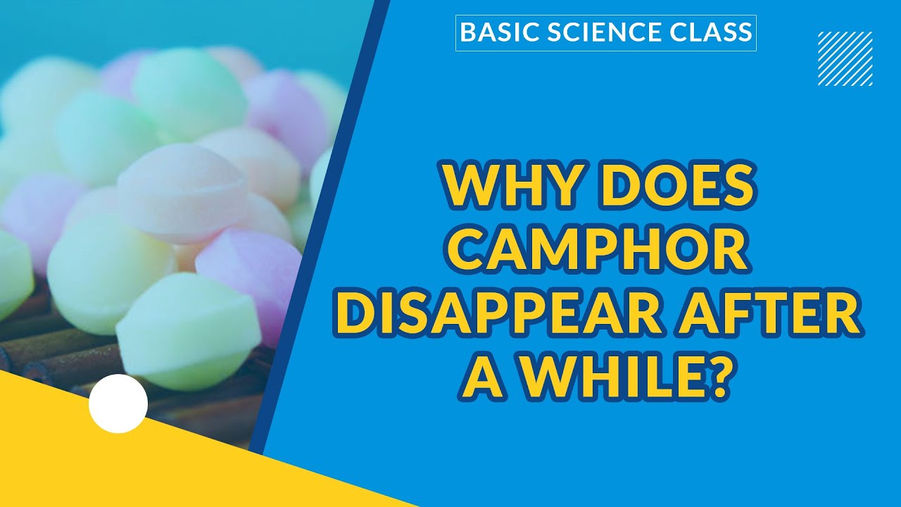 MATTER | BASIC SCIENCE | WHY DOES CAMPHOR DISAPPEAR AFTER A WHILE?