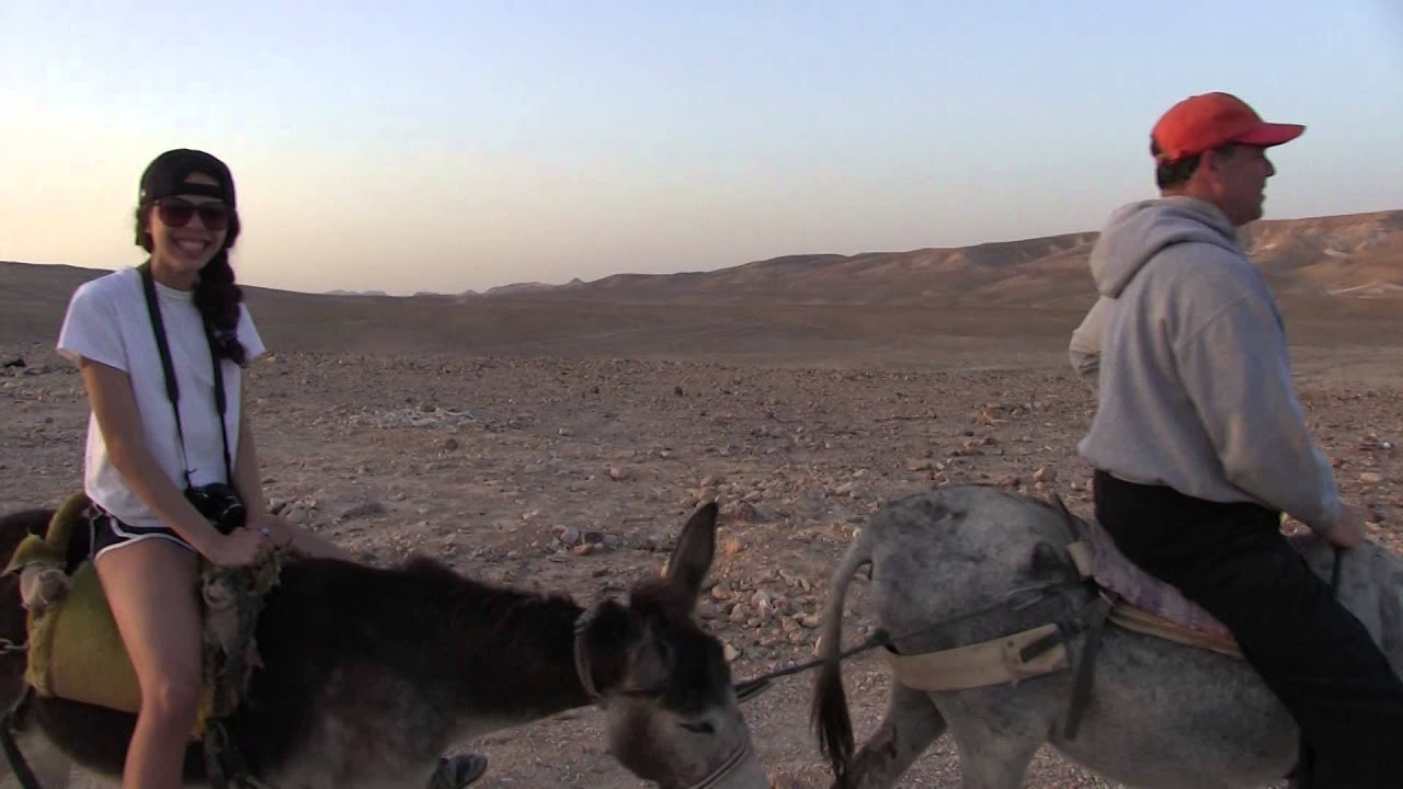 Israel Camel Ride