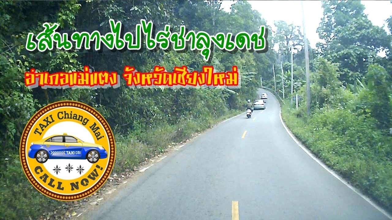 เส้นทางไป ไร่ชาลุงเดช อำเภอแม่แตง จังหวัดเชียงใหม่ ไร่ชาหนึ่งเดียวของเชียงใหม่!