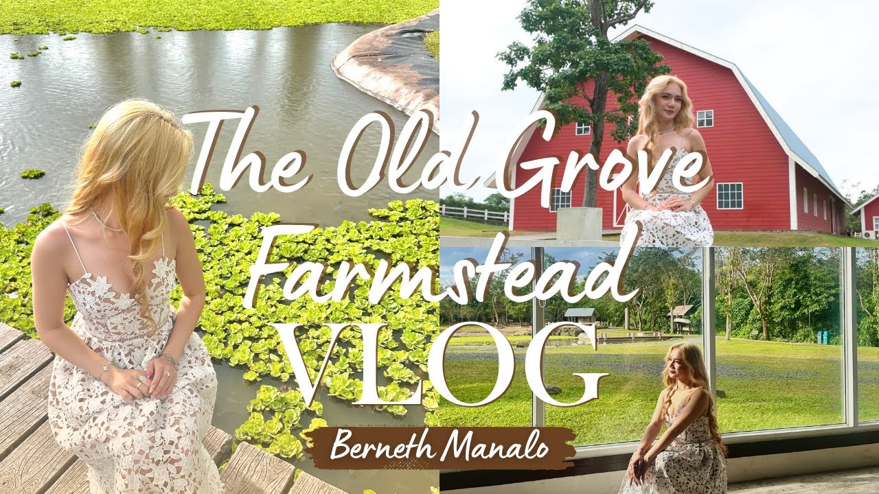 Escaping the City: A Dreamy Day at The Old Grove Farmstead 𓂃۶ৎ