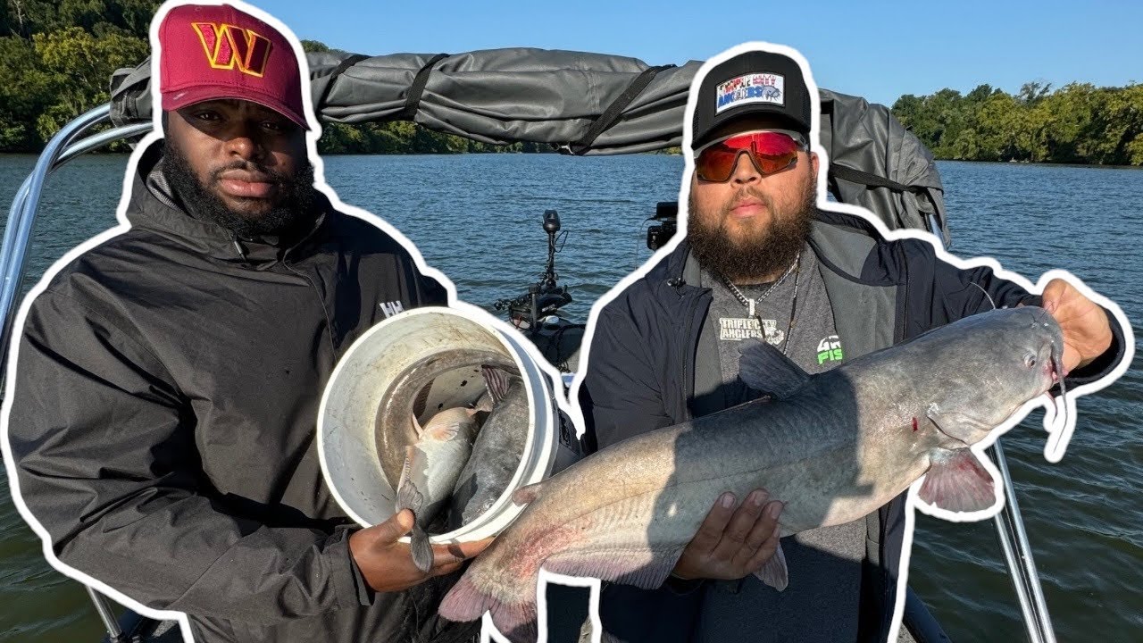 Blue Catfish Catch Clean and Cook!!!