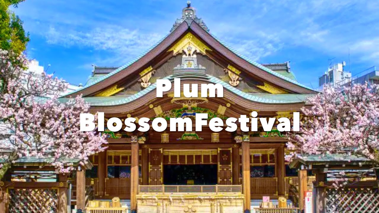 Jaw Dropping Gorgeous Plum Blossom Temple - Yushima Tenjin Plum Blossom Festival Tokyo Japan 湯島天満宮