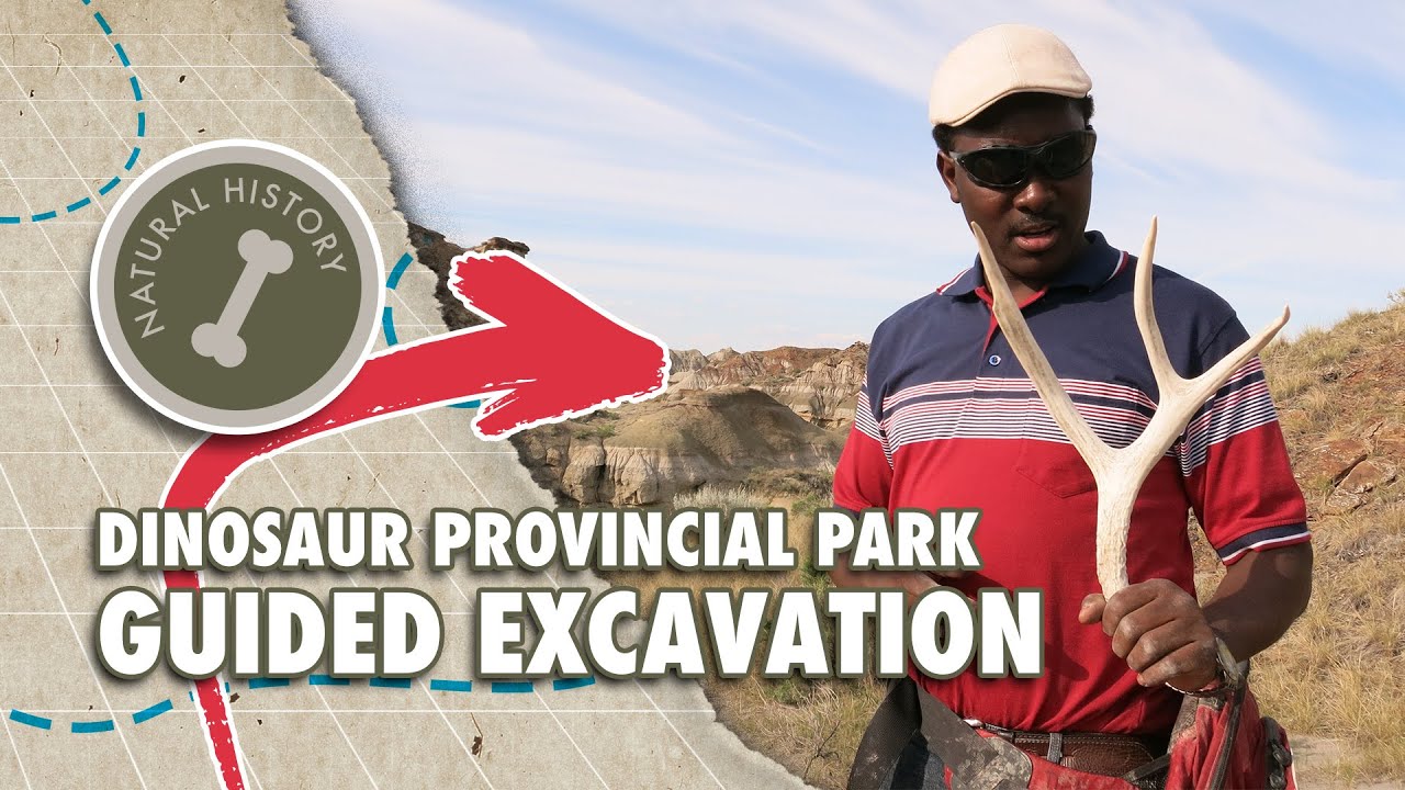Things to do in Alberta - Dinosaur Provincial Park - Guided Excavation Program
