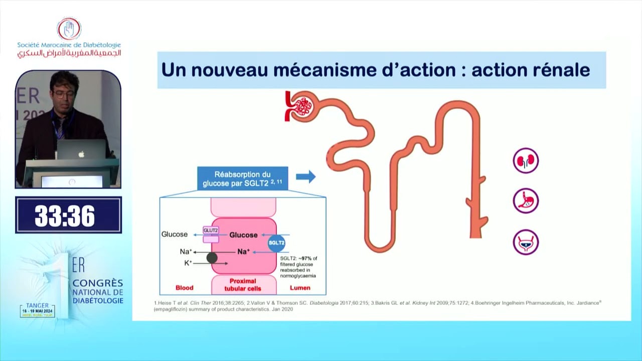 BOEHRINGER Isglt au cœur de la prise en charge du rien diabétique Point de vue de l'endocrinologue