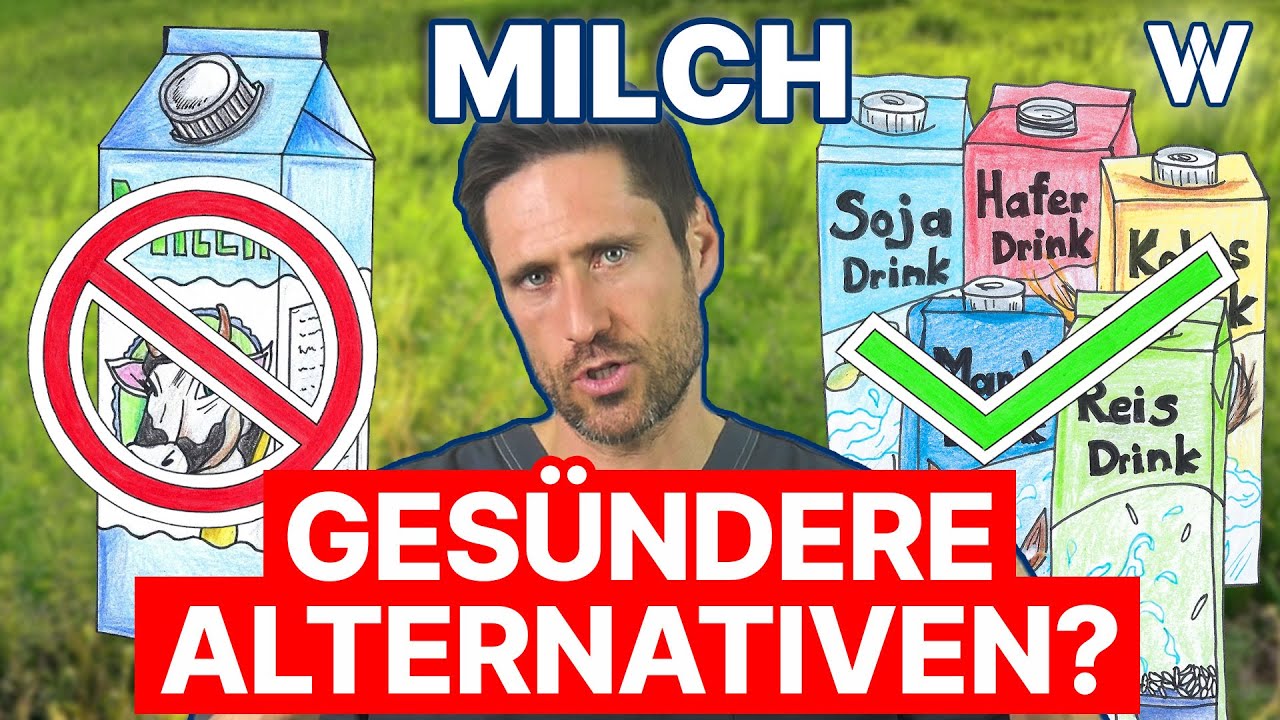 Sind Milchalternativen gesünder und umweltfreundlicher als Kuhmilch? Hafer, Soja, Reis & Co geprüft