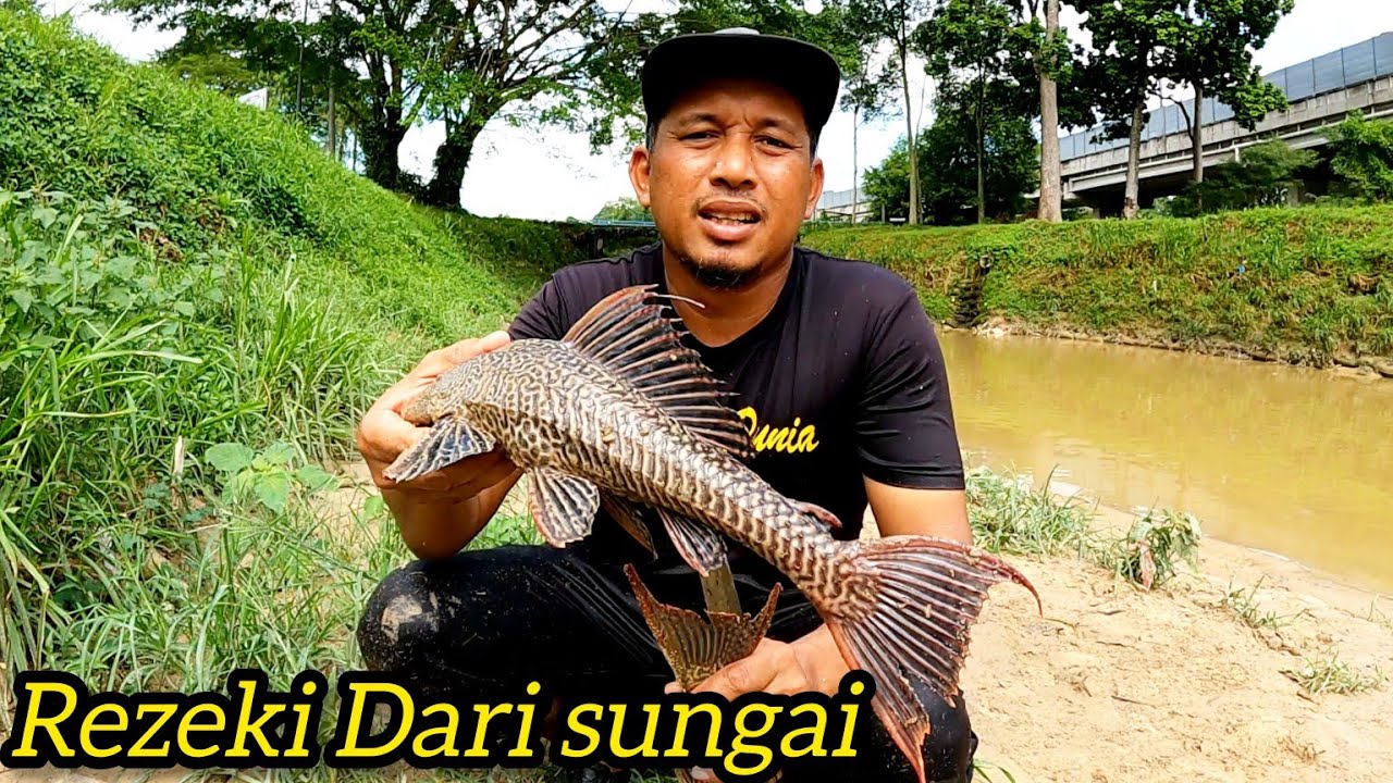Mencari Rezeki Dengan Telur Ikan  Bandaraya #gengdunia