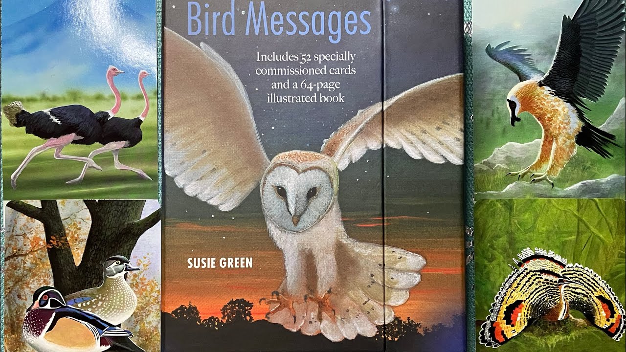 Bird Messages Oracle Flip Through (in HD)