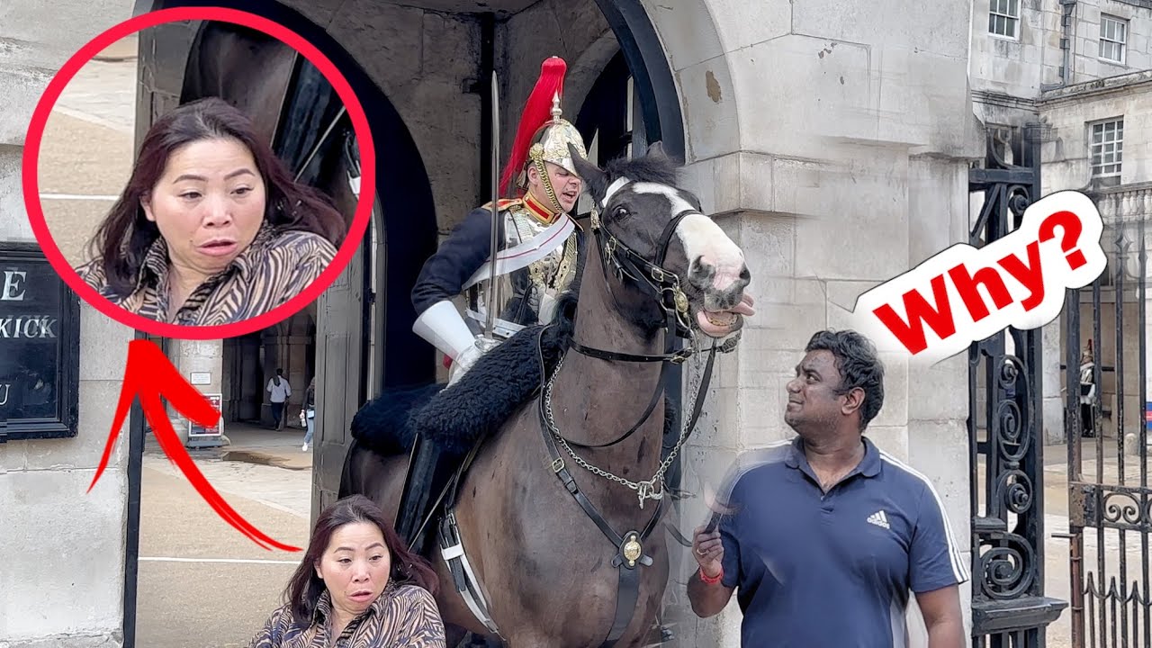 Don't you *DARE* Grab my Horse Like That