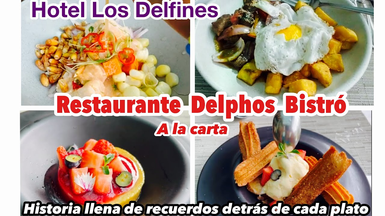🤑¿Cuánto cuesta almorzar a la carta en Delphos Bistró? Hotel Los Delfines 2024