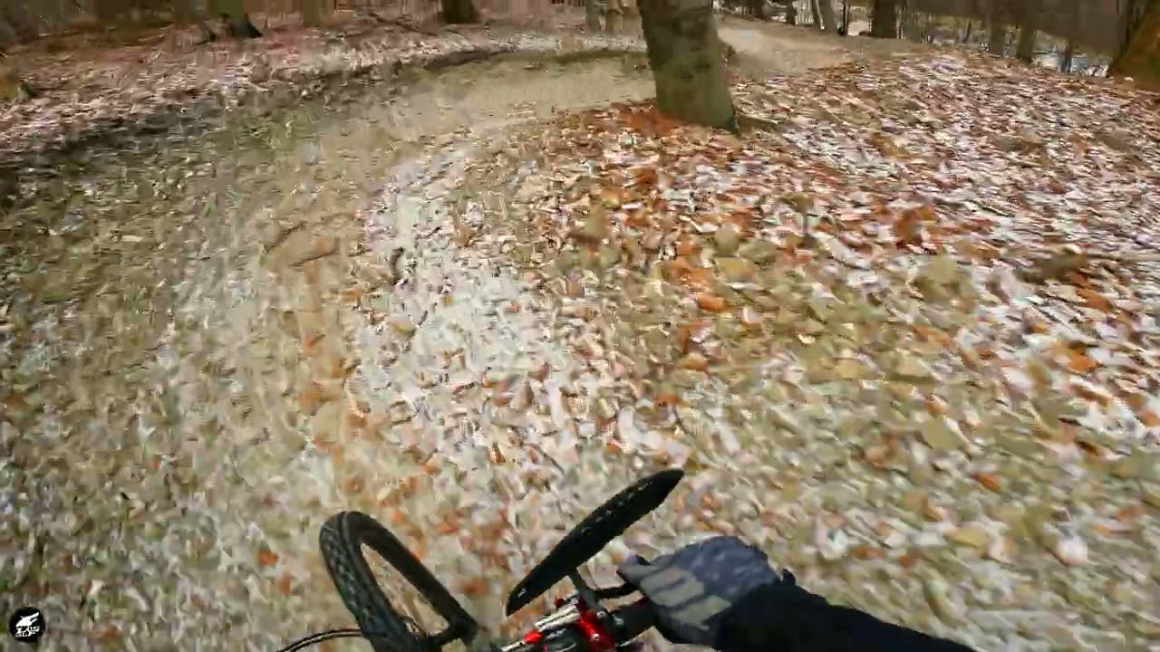 december | snow tracks raw enduro POV #lonewolfrides @gopro @gopropl @conti_mtb @iamspecialized_mtb