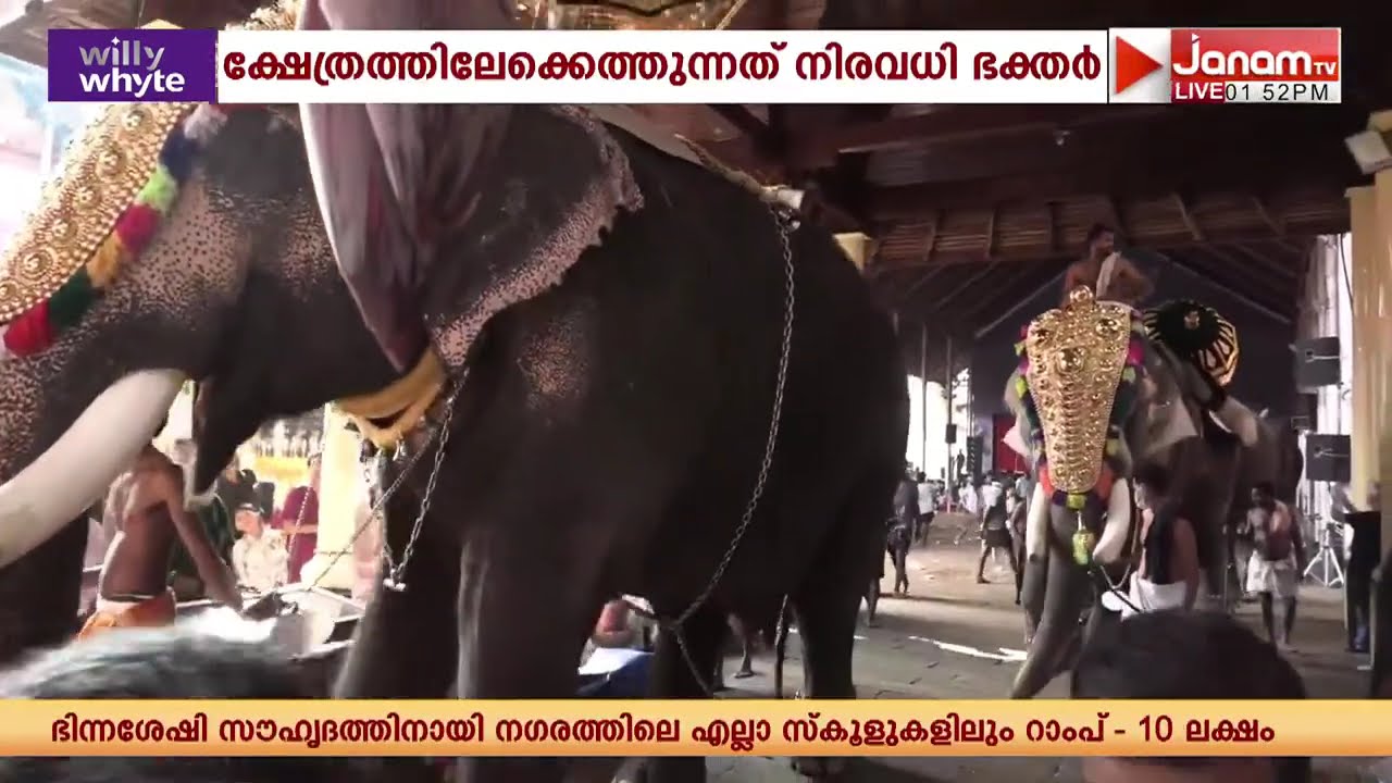 ഏഴരപ്പൊന്നാന ദർശനത്തിനൊരുങ്ങി ഏറ്റുമാനൂർ മഹാദേവ ക്ഷേത്രം | Ettumanoor Temple