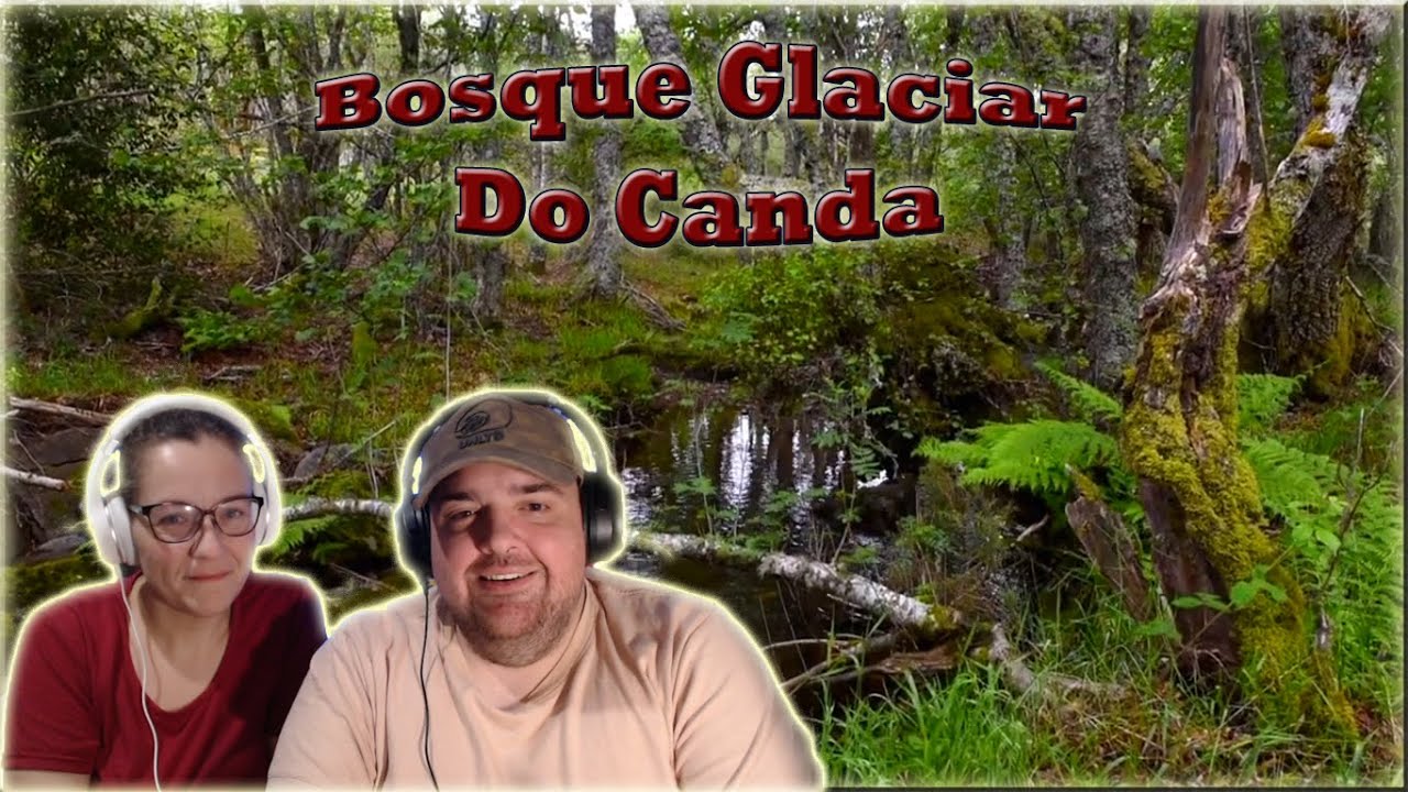 Recorremos el Bosque Glaciar Do Canda. Argentinos reaccionan
