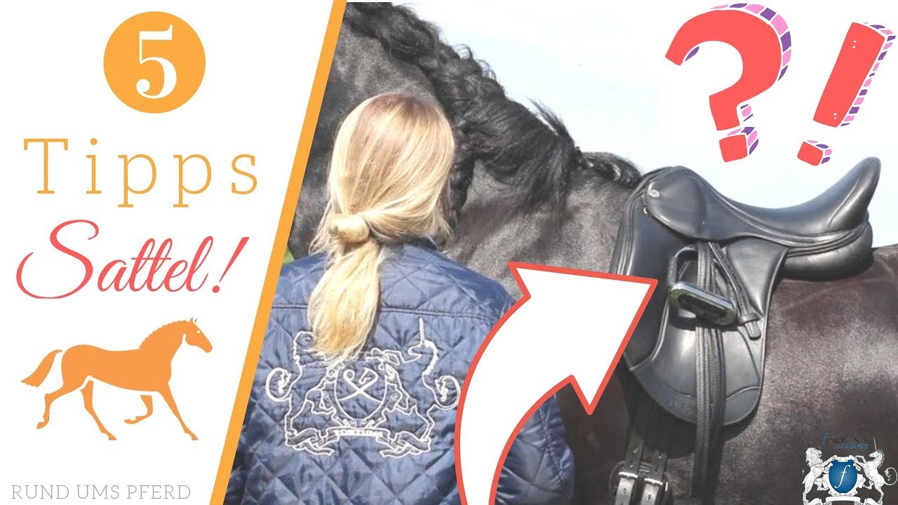 5 Tipps worauf Du bei einem 🐴Sattel für Dein Pferd 🚨DRINGEND achten solltest!