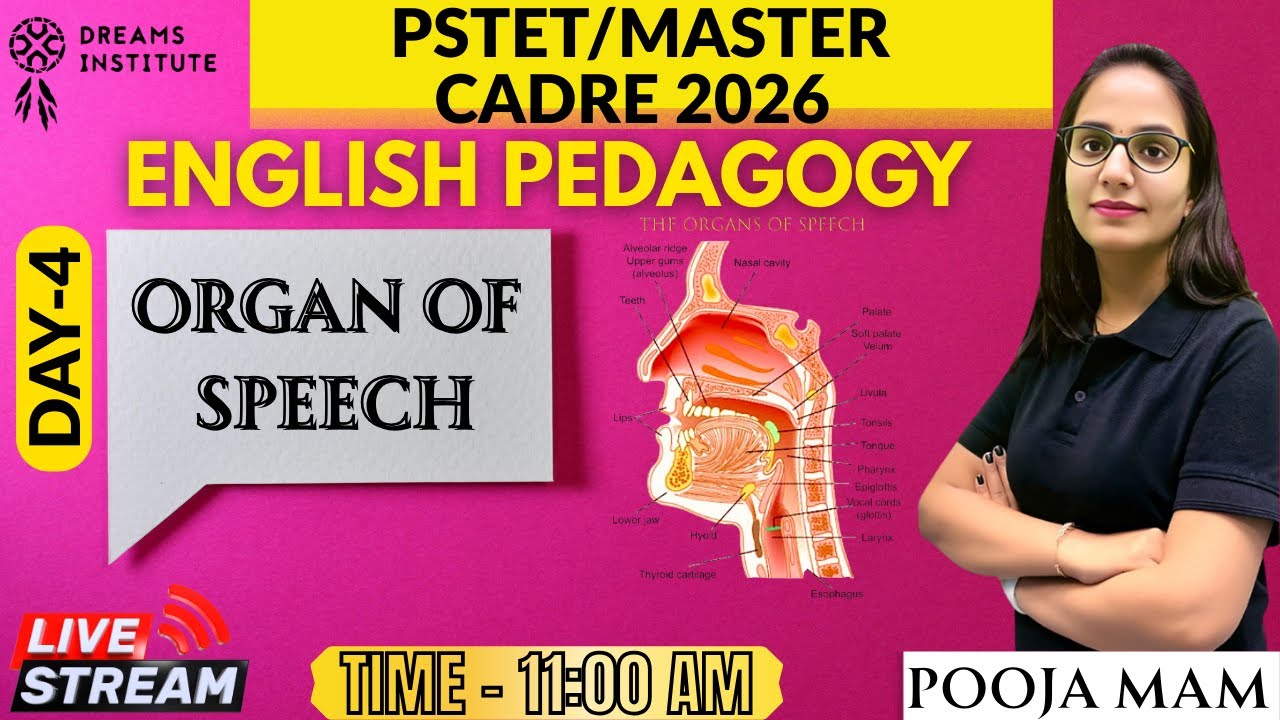 ENGLISH PEDAGOGY || PSTET 2026 || ORGAN OF SPEECH || DAY-4  || 11:00 AM || BY POOJA MAM