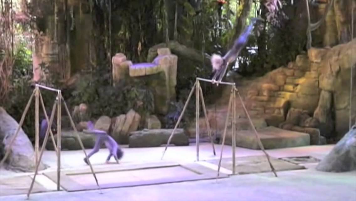 Showreel 2014 Yann ARNAUD