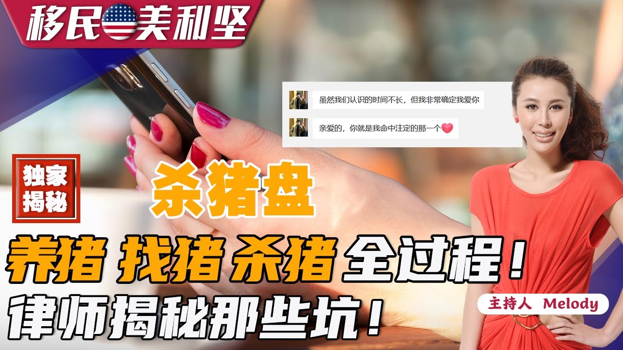 💥杀猪盘：“养猪“”找猪“”杀猪“全过程！律师独家揭秘那些坑！《移民美利坚》20220617  161期