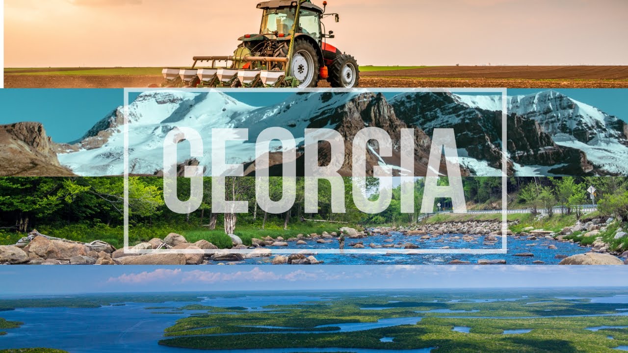 Georgia's Stunning Landscapes: Swamps, Rivers & Mountains