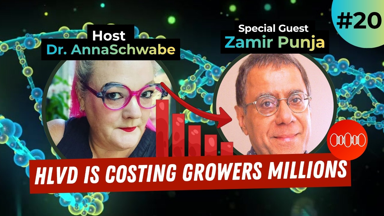 HLVd, Hidden Pathogens & Cannabis Plant Health (Dr. Zamir Punja) | MyFlora Fridays Ep. 19