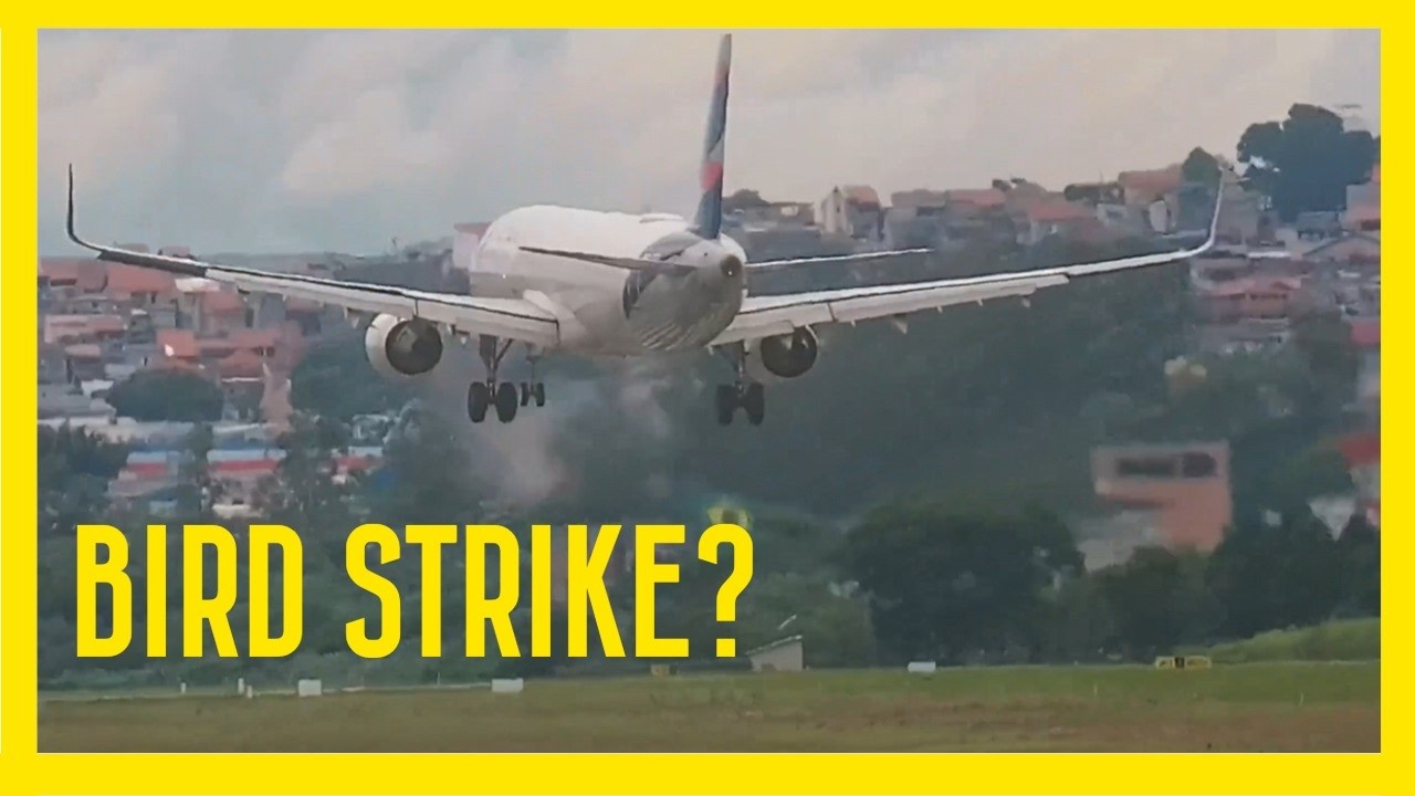 FOI BIRD STRIKE OU OS PASSÁROS JÁ ESTAVAM MORTOS NA PISTA?