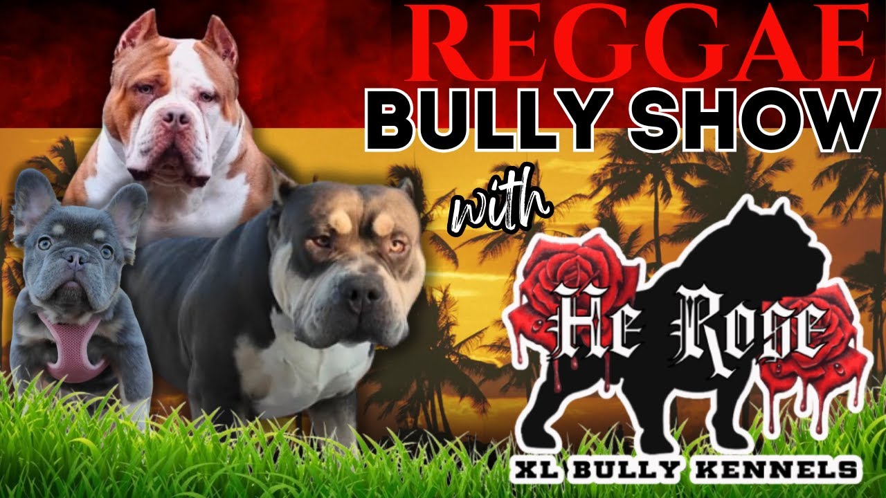 Reggae Bully Fest 2025: Big Vibes & Bigger Bullies!