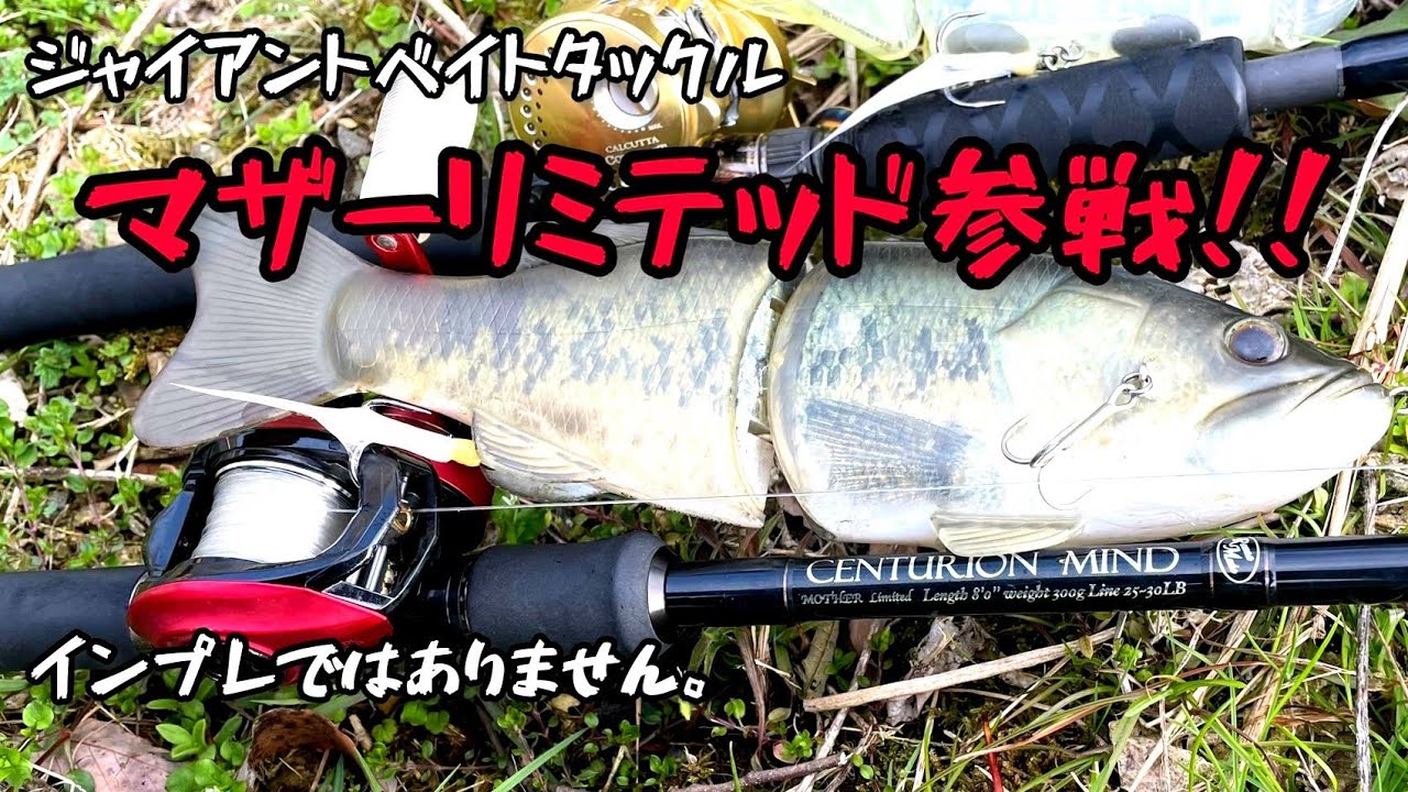 【バス釣り】センチュリオンマインド・マザーリミテッド参戦‼　ロマンメイド　ジャイアントベイト