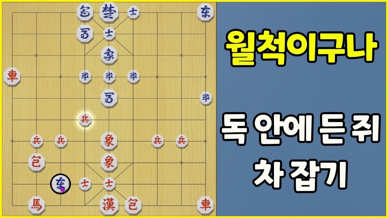 월척이구나~ 차 잡기!!  (슈이비닝 장기)