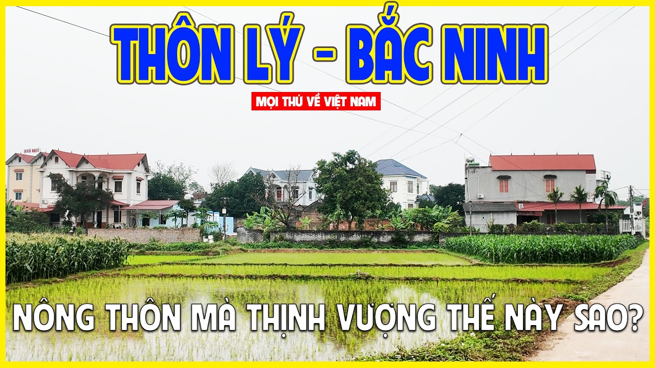 THÔN LÝ - BẮC NINH | BẤT NGỜ VỚI SỰ THỊNH VƯỢNG CỦA NÔNG THÔN NƠI ĐÂY | Miền Bắc ngày nay