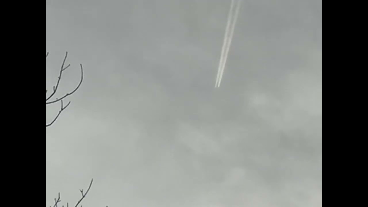 Aer Lingus Airbus A330-302 flying over our house 