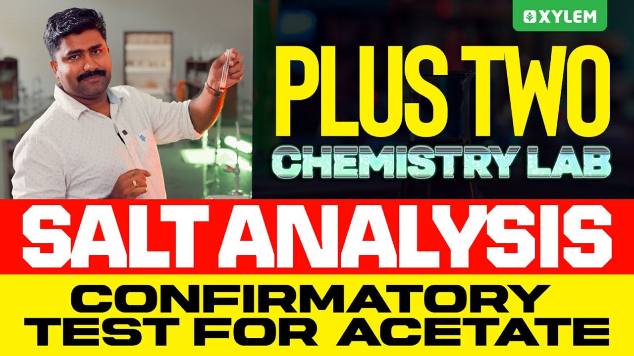Plus Two Chemistry Lab | Salt Analysis - Confirmatory Test For Acetate | Xylem Plus Two