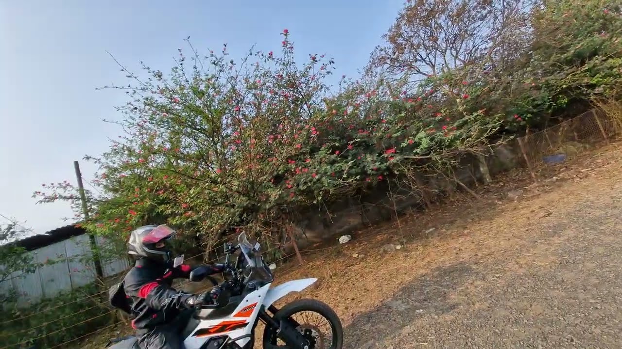 PCMC to Ambey Valley:part 4 :     1 February 2026