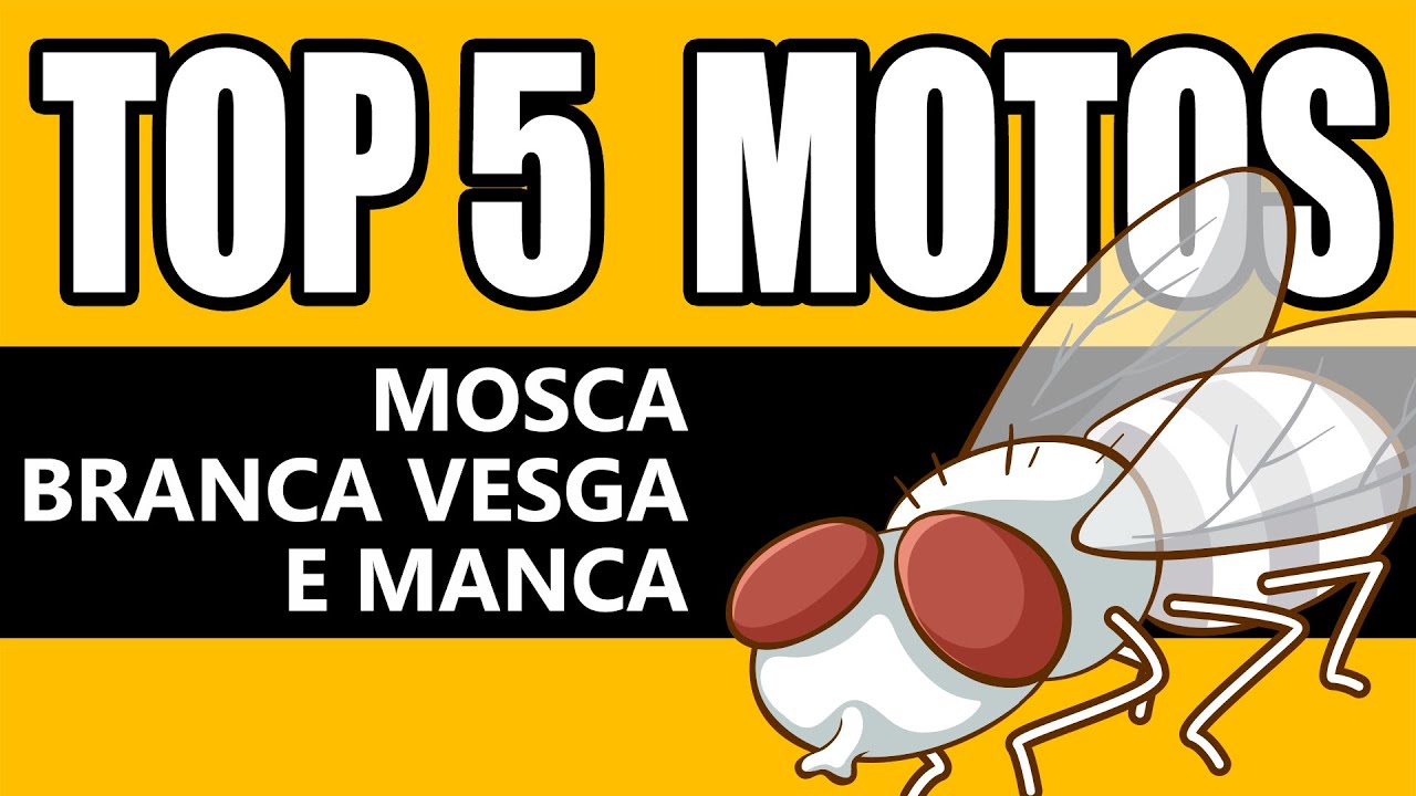 TOP 5 Motos Mosca Branca Vesga e Manca