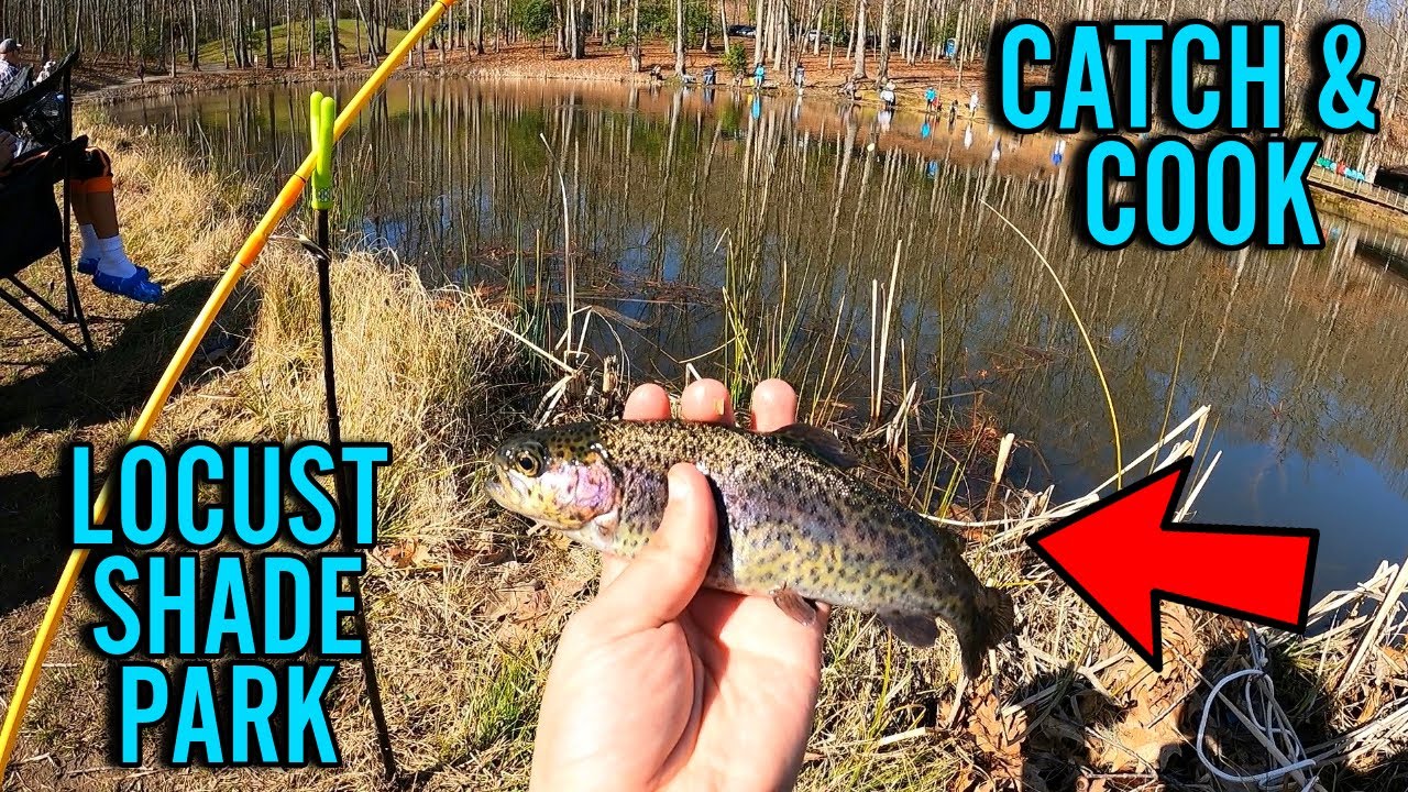 Locust Shade Park Virginia! CATCH and COOK RAINBOW TROUT! Prince William Virginia Trout Stocking Day